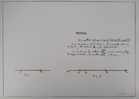 Serigrafia Venet - Un Vecteur