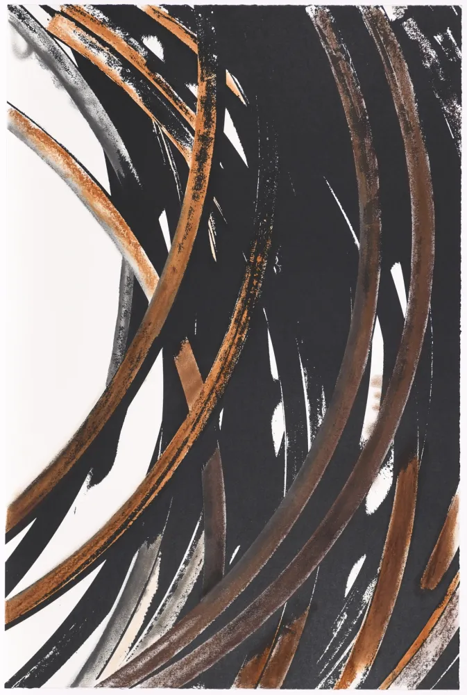 Serigrafia Venet - Untitled V bis (Arcs)