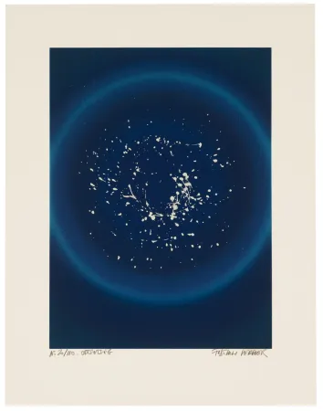 Serigrafia Verdier - Odtsetseg