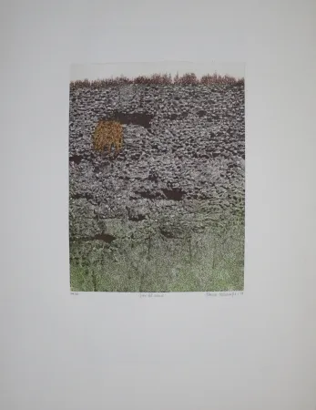 Acquaforte E Acquatinta Vernunft - Fiori le mura