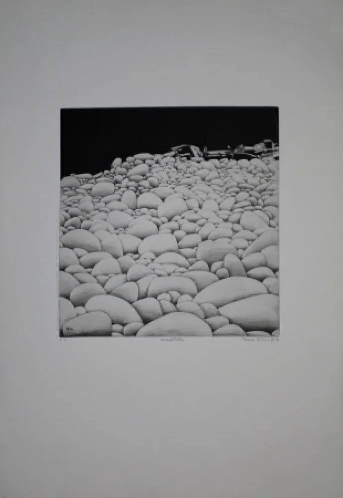 Acquaforte E Acquatinta Vernunft - Steinblüten