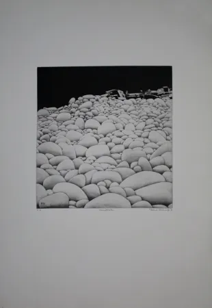 Acquaforte E Acquatinta Vernunft - Steinblüten