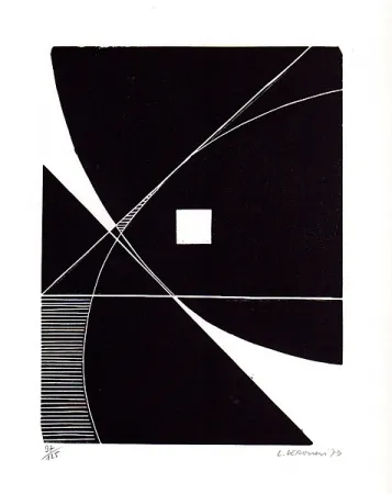 Libro Illustrato Veronesi - Le lucertole blu