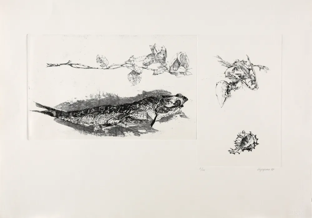 Incisione Vespignani - Studi