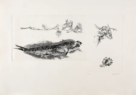 Incisione Vespignani - Studi