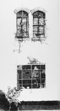 Acquaforte Vespignani - Tre finestre