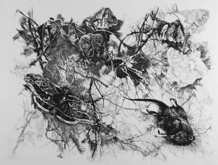 Acquaforte Vespignani - Zibaldone (Per Leopardi)