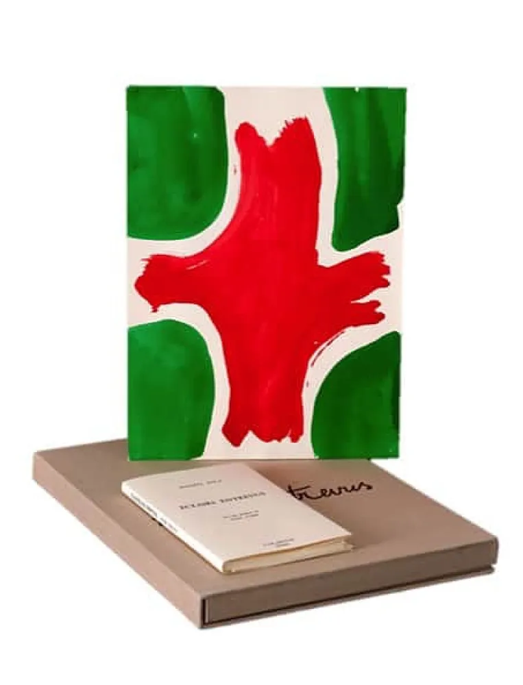 Libro Illustrato Viallat - ECLAIRS ENTREVUS, 1991