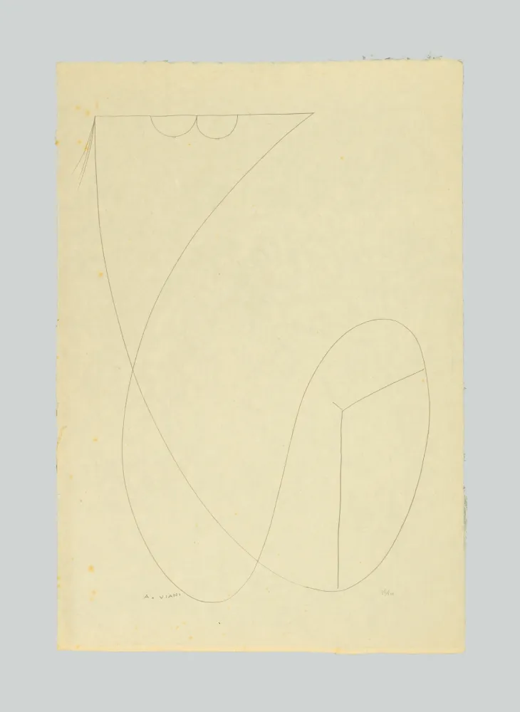 Litografia Viani - Composizione