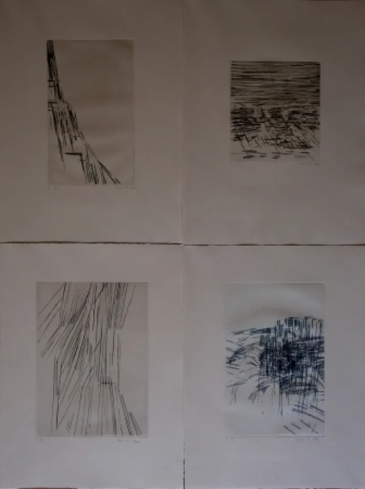 Libro Illustrato Vieira Da Silva - Poésies