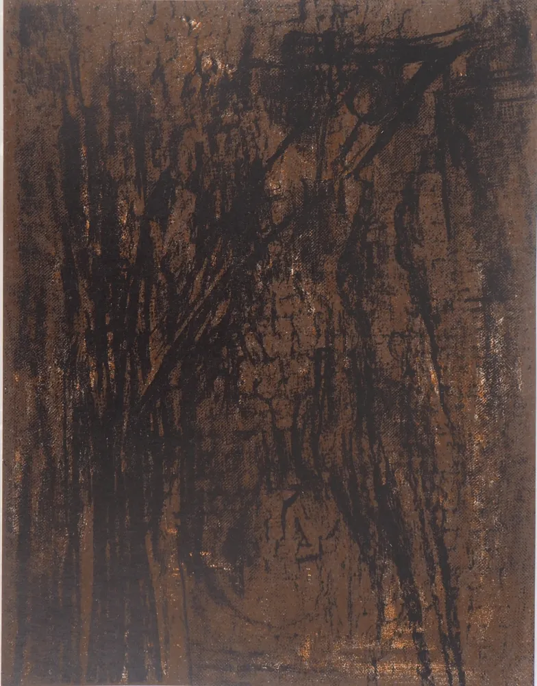 Litografia Vieira Da Silva - Terre du Portugal