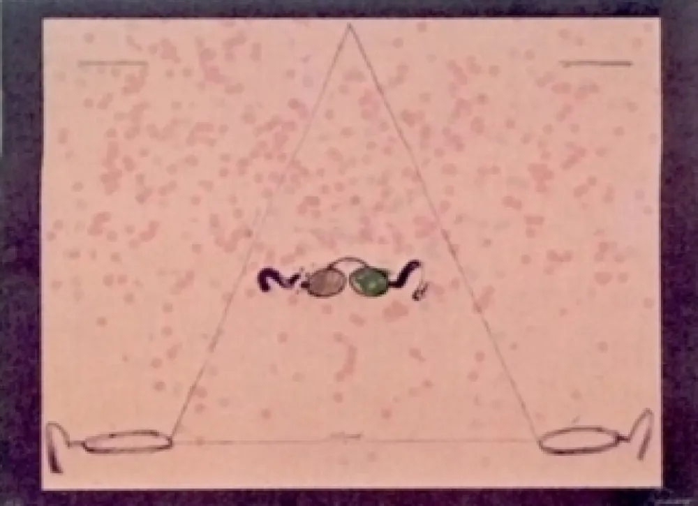 Litografia Viladecans - Entrebanc 5