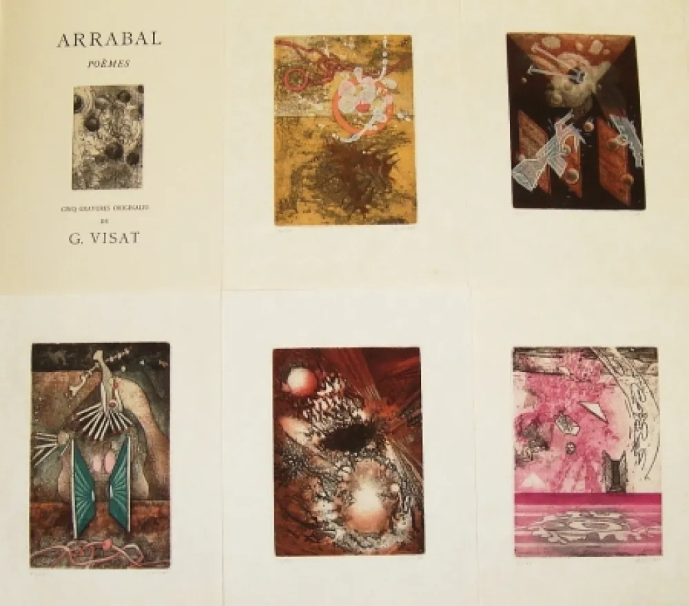 Libro Illustrato Visat - Poèmes