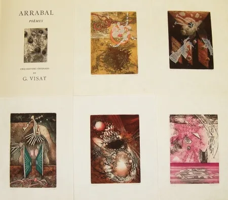 Libro Illustrato Visat - Poèmes