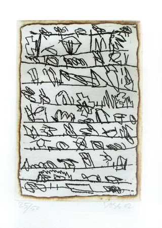 Libro Illustrato Voss - La dispersion