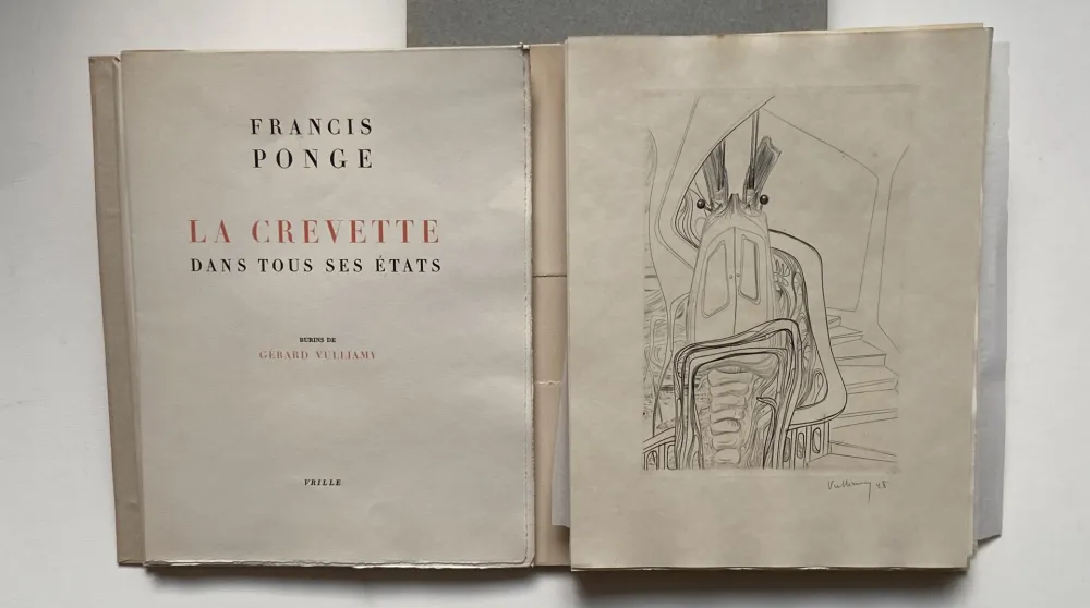 Libro Illustrato Vulliamy - LA CREVETTE DANS TOUS SES ETATS