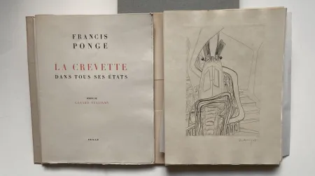 Libro Illustrato Vulliamy - LA CREVETTE DANS TOUS SES ETATS