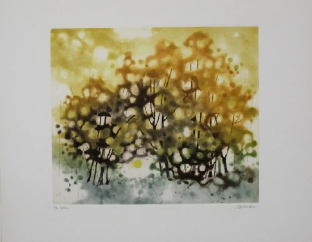 Acquaforte E Acquatinta Walker - Aspen