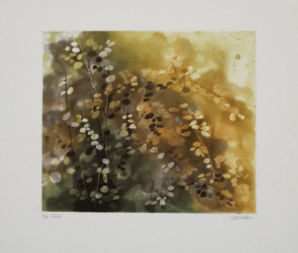 Acquaforte E Acquatinta Walker - Fairlee