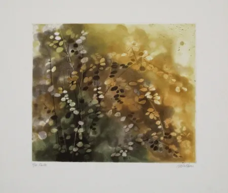 Acquaforte E Acquatinta Walker - Fairlee