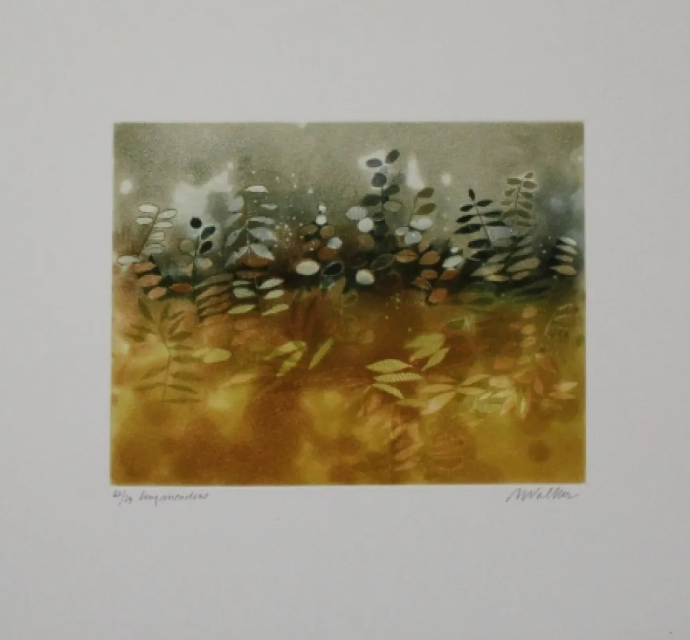 Acquaforte E Acquatinta Walker - Longmeadow