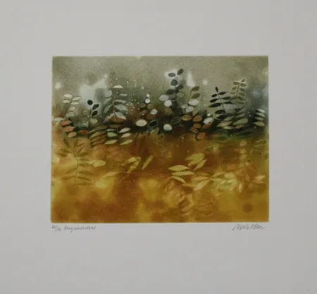 Acquaforte E Acquatinta Walker - Longmeadow