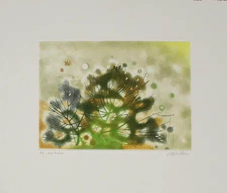 Acquaforte E Acquatinta Walker - Marhoha