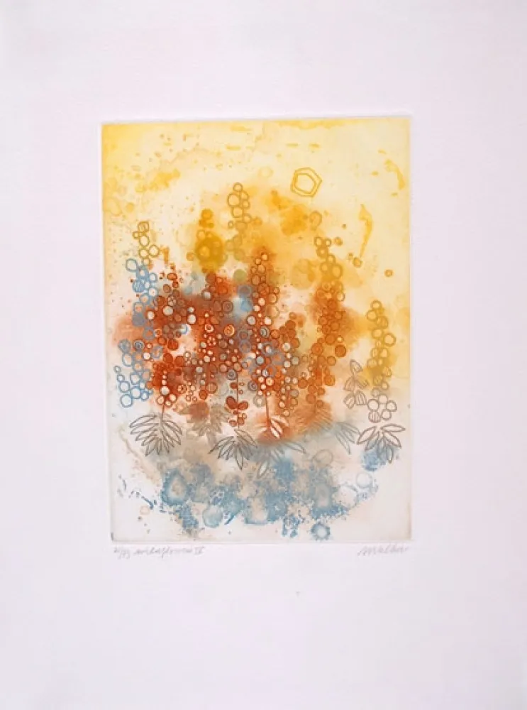 Acquaforte Walker - Midi flowers IV