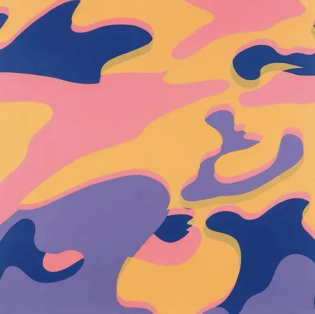 Serigrafia Warhol - Camouflage F. & S. 410
