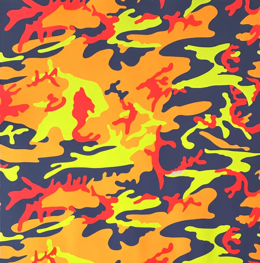 Serigrafia Warhol - Camouflage (FS II.412)