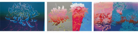 Serigrafia Warhol - Kiku, Complete Portfolio
