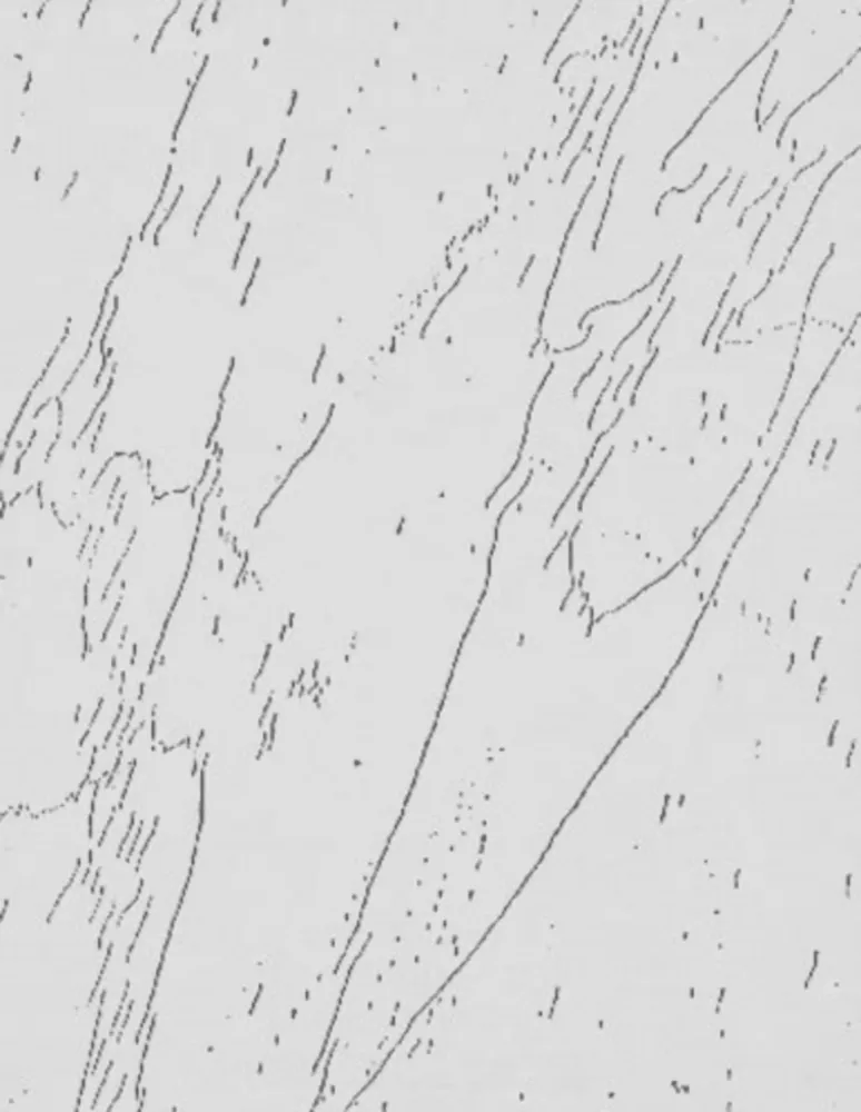 Multiplo Warhol - Mao (Unique)