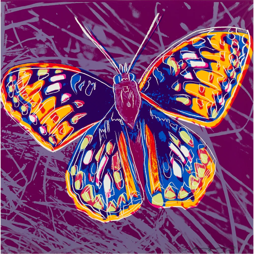 Serigrafia Warhol - San Francisco Silverspot (FS II.298)