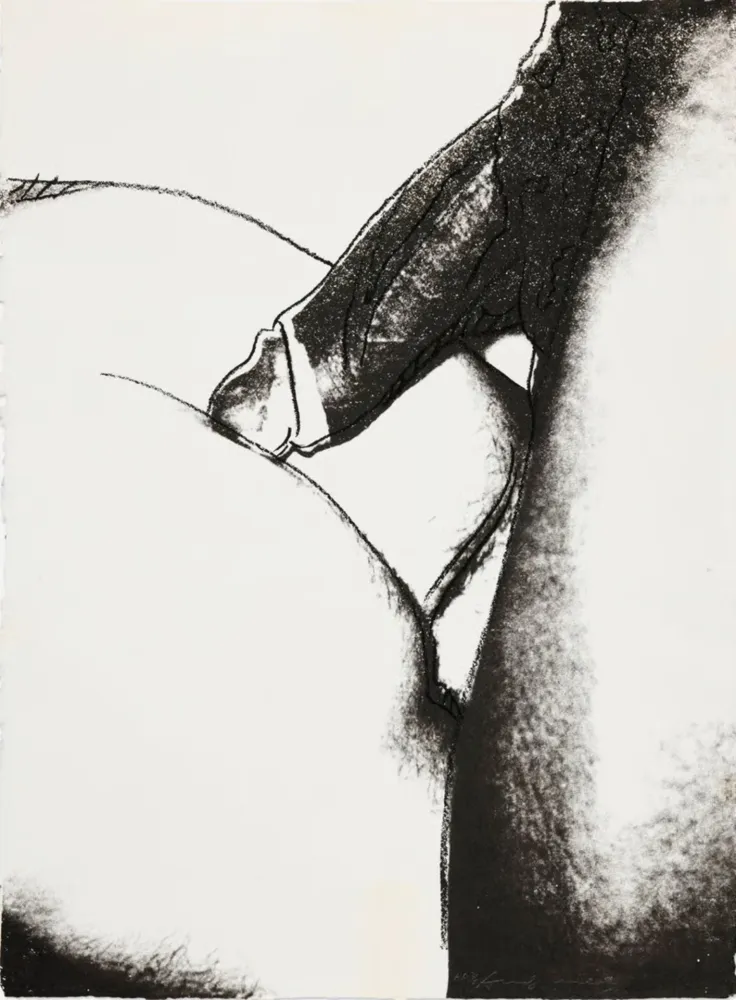 Serigrafia Warhol - Sex Parts II.174