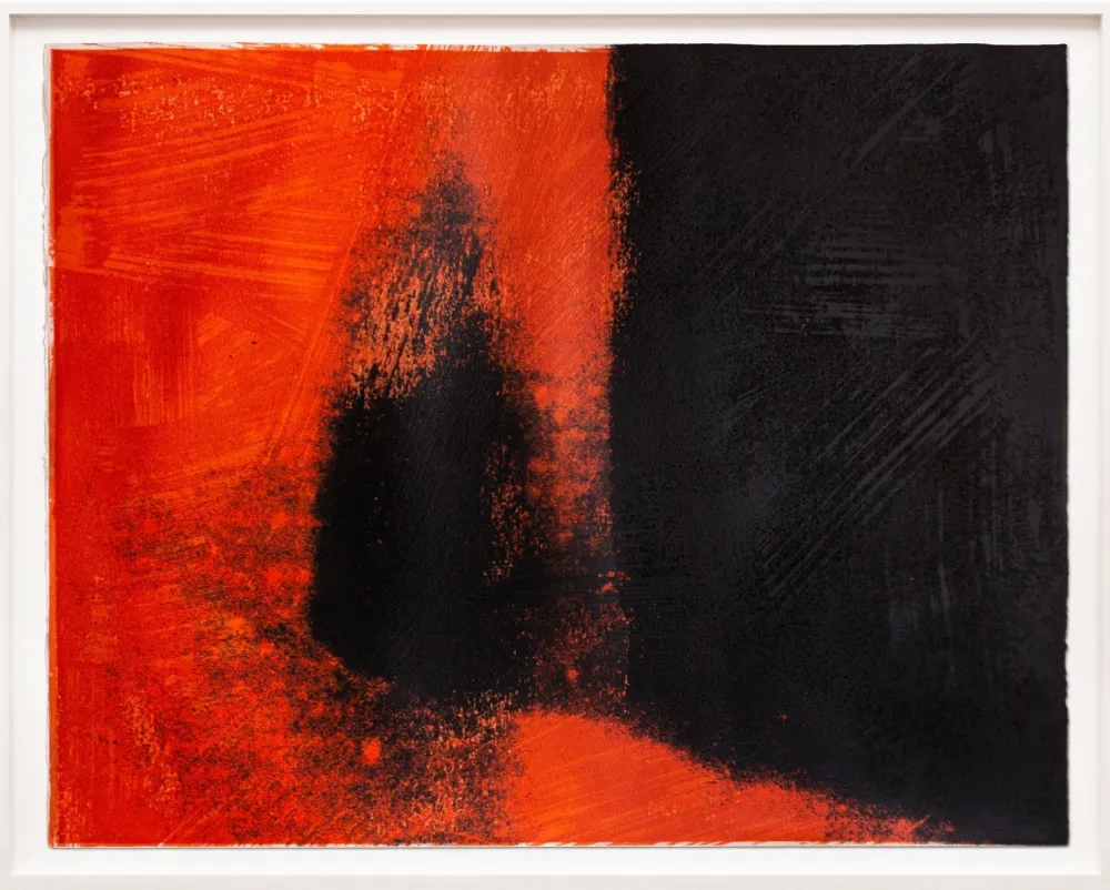 Serigrafia Warhol - Shadows I