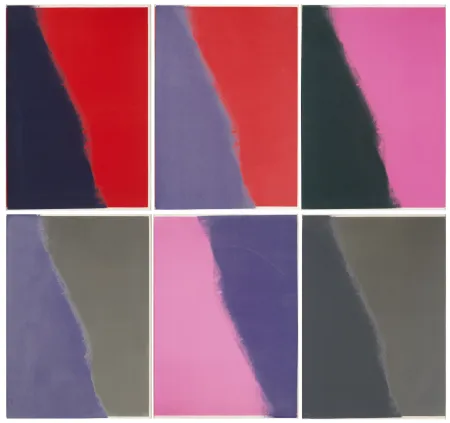Serigrafia Warhol - Shadows II Complete Portfolio