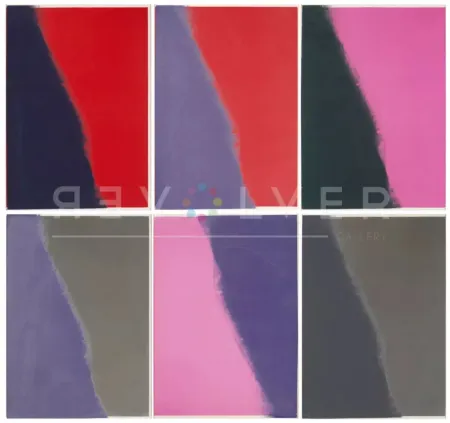 Serigrafia Warhol - Shadows II Complete Portfolio (FS II.210-215)