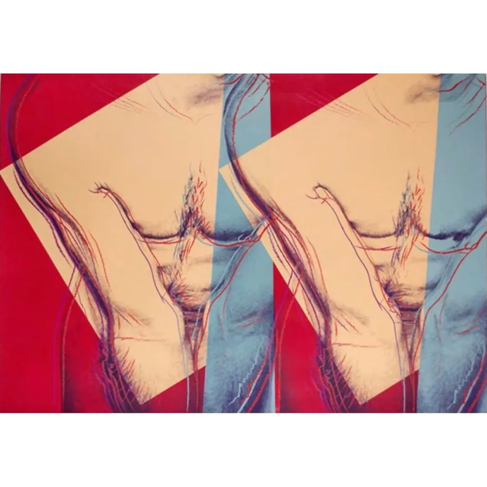 Serigrafia Warhol - Torso (Double) (FS IIIA.35)