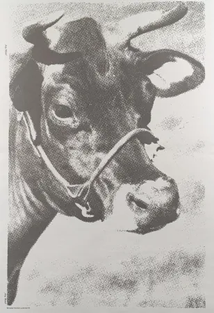 Litografia Warhol - Venice Biennale COW