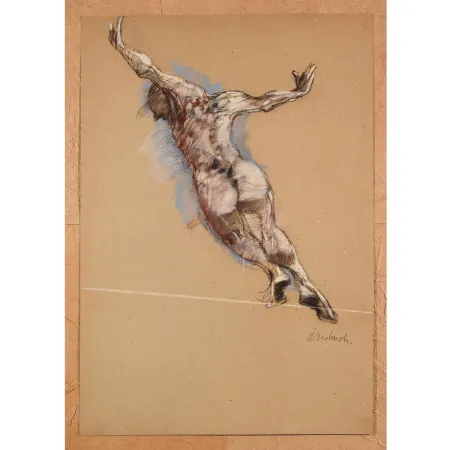 Non Tecnico Weisbuch - Le saut de l’ange