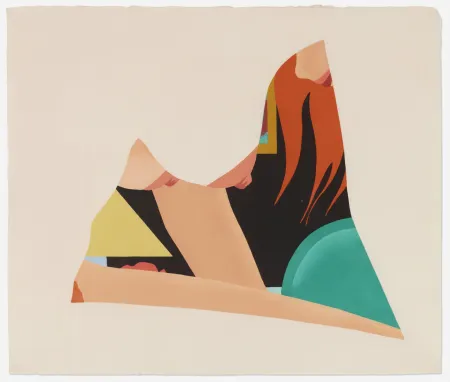 Incisione Su Legno Wesselmann - Bedroom Dropout