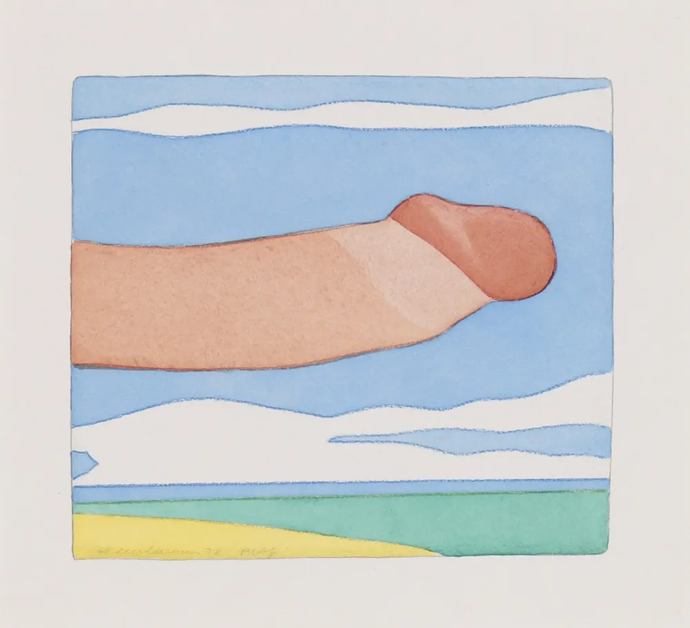 Rilievo Wesselmann - Seascape Penis
