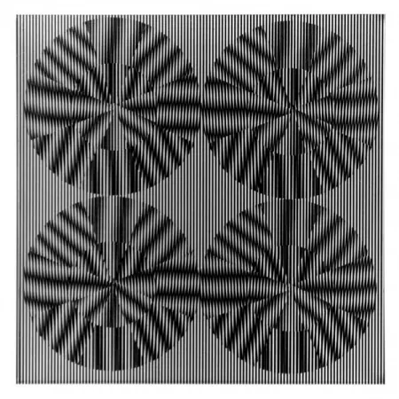 Multiplo Wilding - SBT 2835