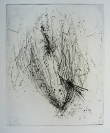 Incisione Wols - Akblute