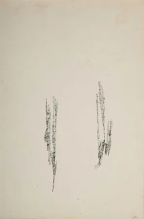 Non Tecnico Wols - Commencement d'un dessin