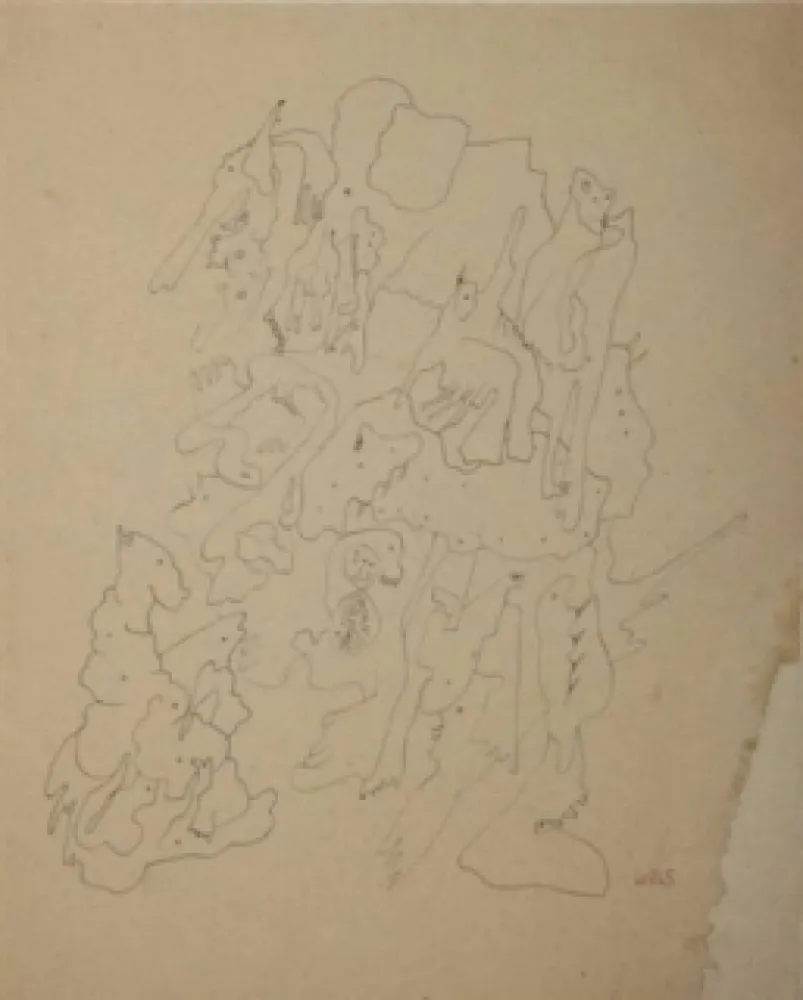 Non Tecnico Wols - Les rochers du zoo