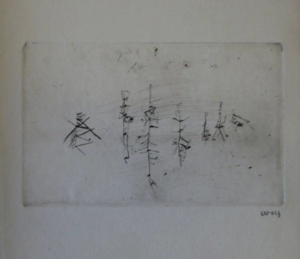 Libro Illustrato Wols - L'invité des morts