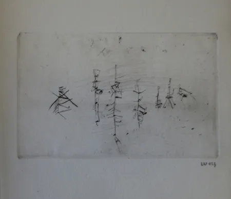 Libro Illustrato Wols - L'invité des morts