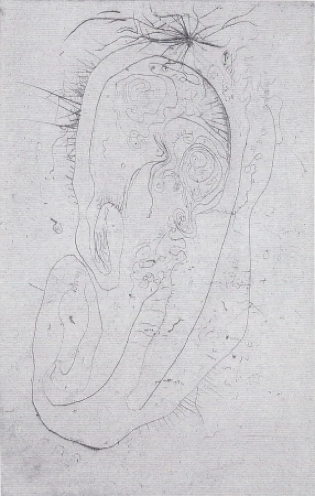 Libro Illustrato Wols - Naturelles