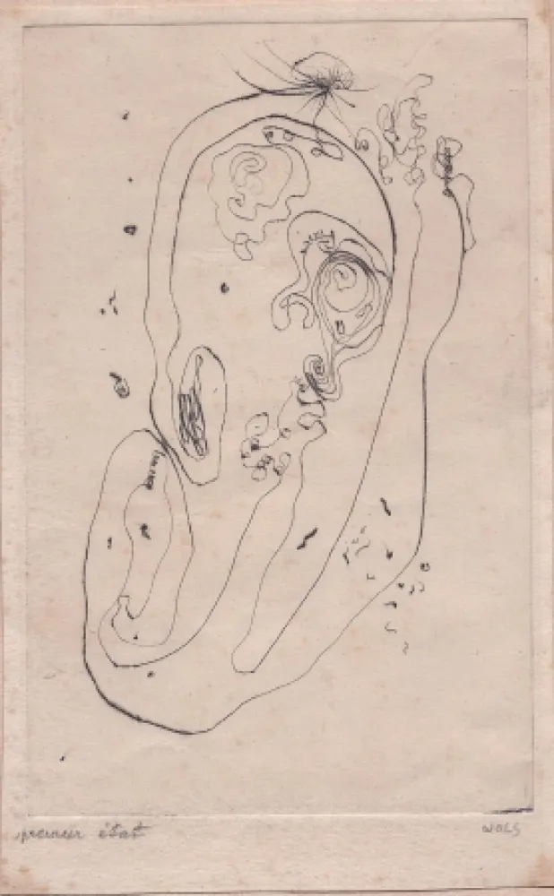 Punta Secca Wols - Ohr